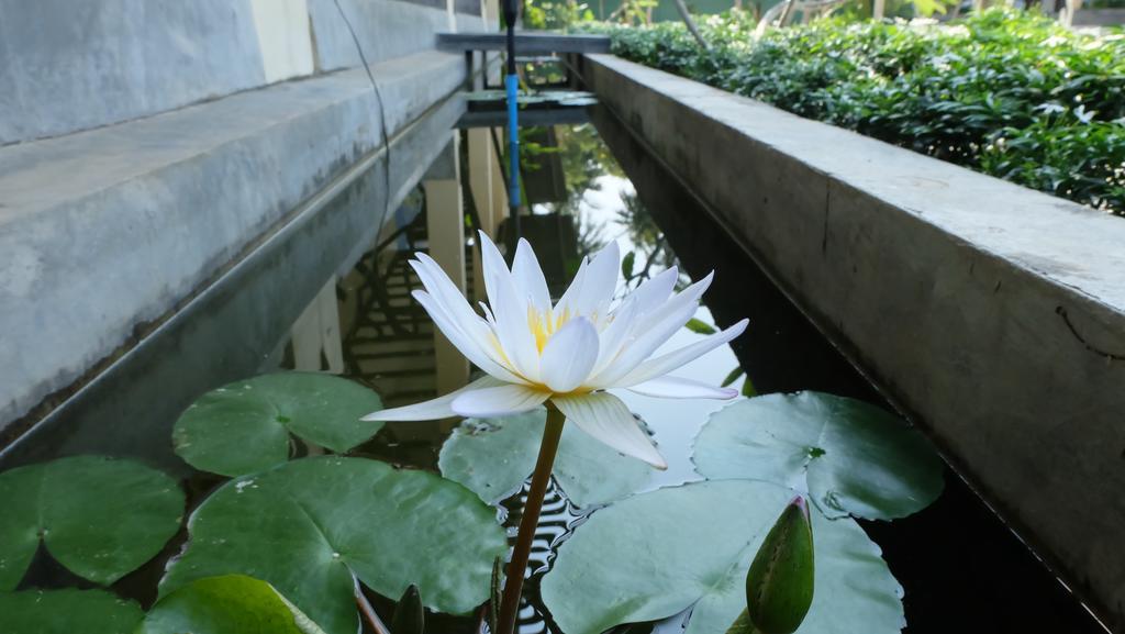 Lullaby Boutique Resort Thap Sakae Εξωτερικό φωτογραφία